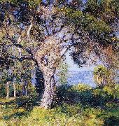 Guy Rose The Oak china oil painting artist